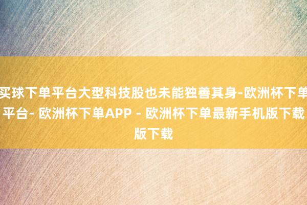 买球下单平台大型科技股也未能独善其身-欧洲杯下单平台- 欧洲杯下单APP - 欧洲杯下单最新手机版下载