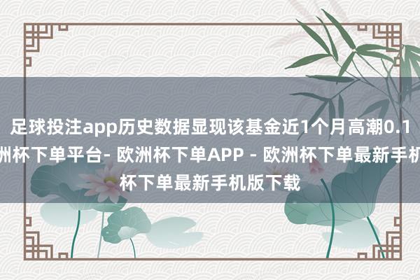 足球投注app历史数据显现该基金近1个月高潮0.13%-欧洲杯下单平台- 欧洲杯下单APP - 欧洲杯下单最新手机版下载